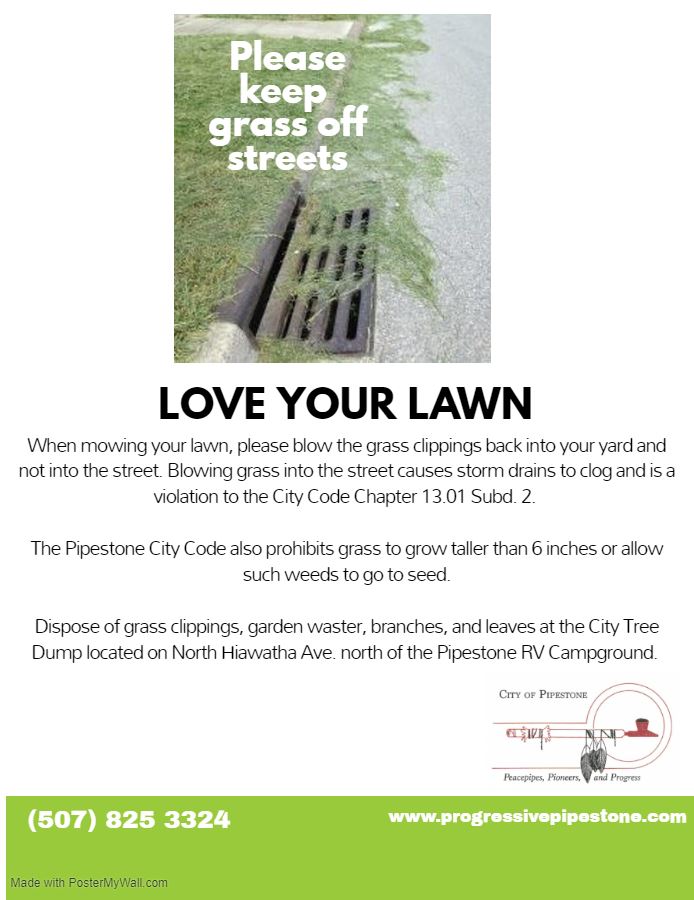 Grass Clippings in Street