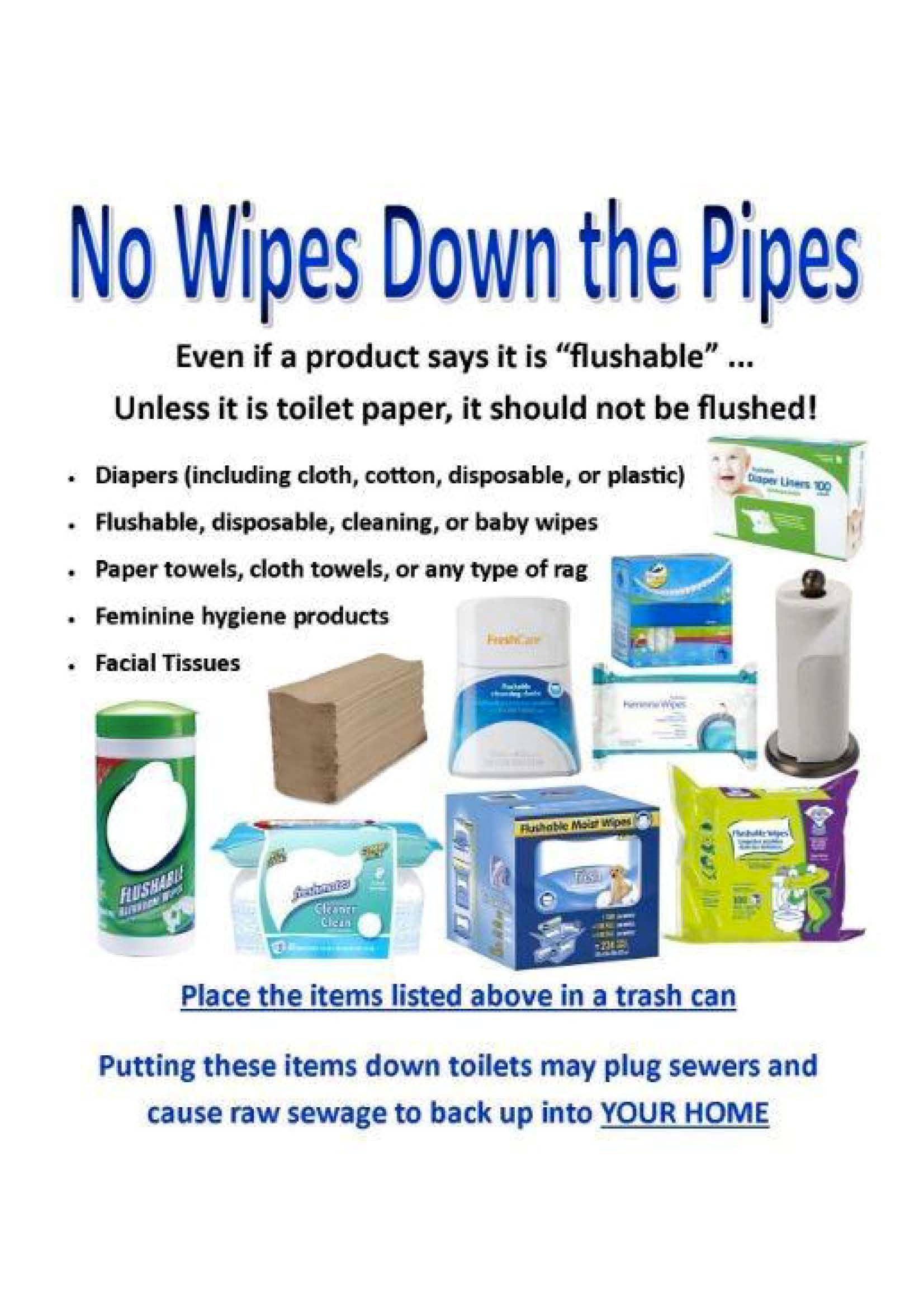 No Wipes Down Pipes (PDF)