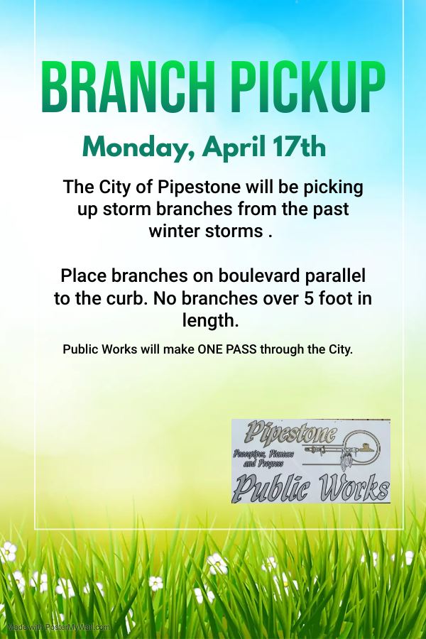 2022 Winter Storm Branch Pickup