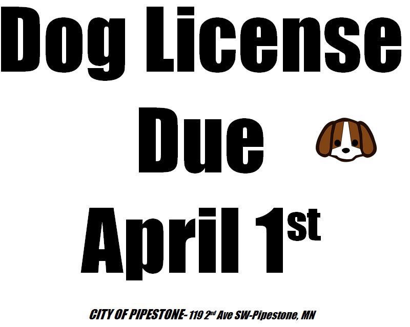 Dog License
